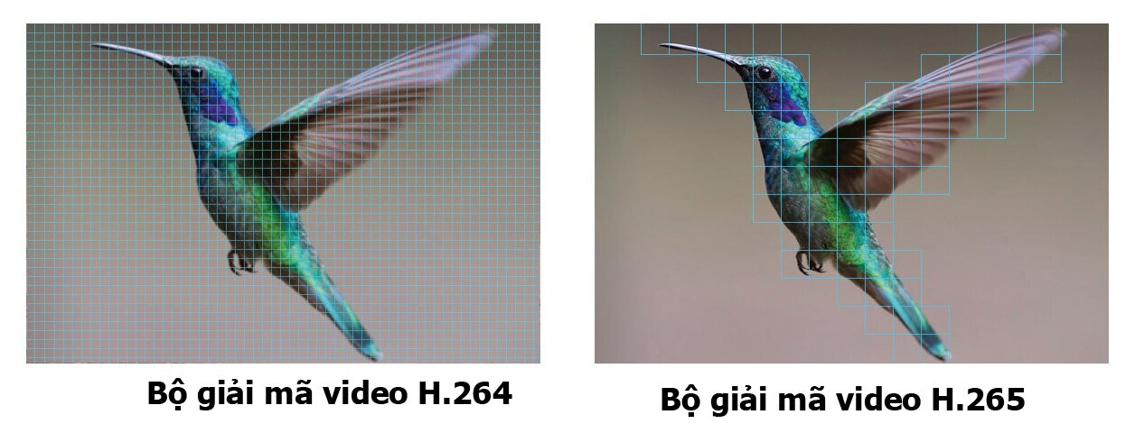 Camera hành trình Ezviz S6 4K