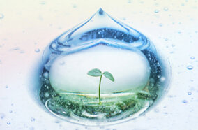 Máy giặt Sharp ES-R905FV 9kg