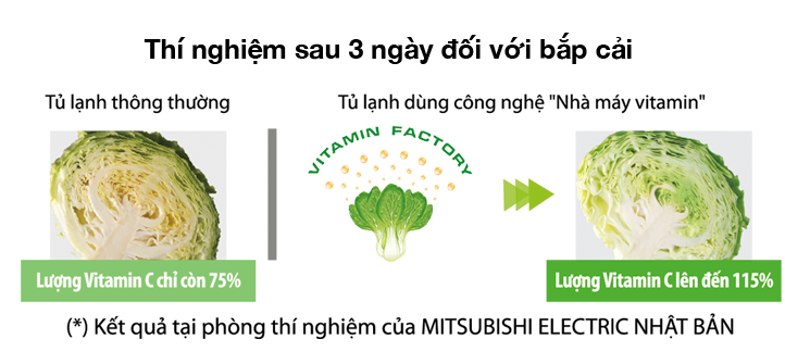 Tủ lạnh Mitsubishi Electric MR-FV32EJ-SL-V - 274 Lít