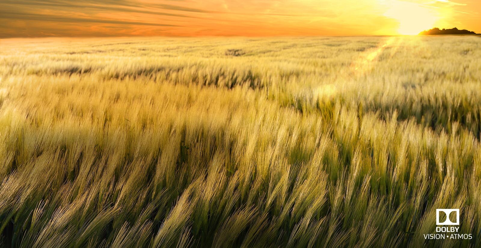 Smart Tivi OLED LG 55 inch 55B9PTA, 4K UHD, HDR