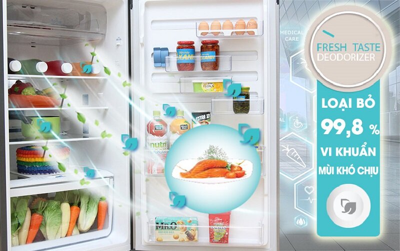 Tủ lạnh Electrolux 318 lít ETB3200MG Tủ lạnh Electrolux 318 lít ETB3200MG
