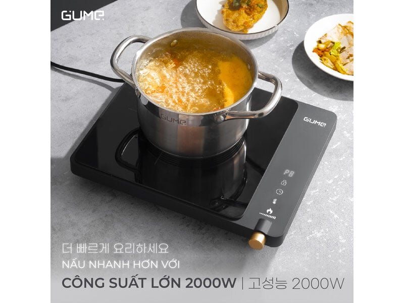 Bếp từ đơn nấu ăn nhanh Bếp từ đơn