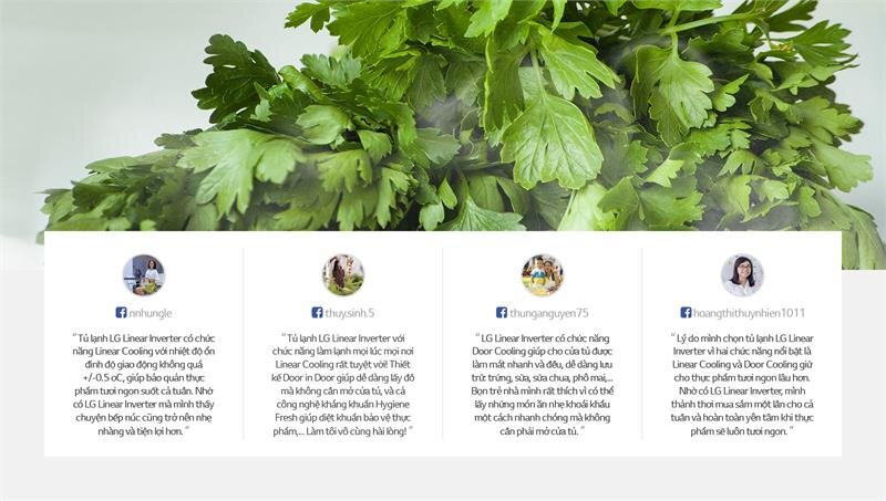 Tủ lạnh LG GN-M315PS - 315 Lít Linear Inverter