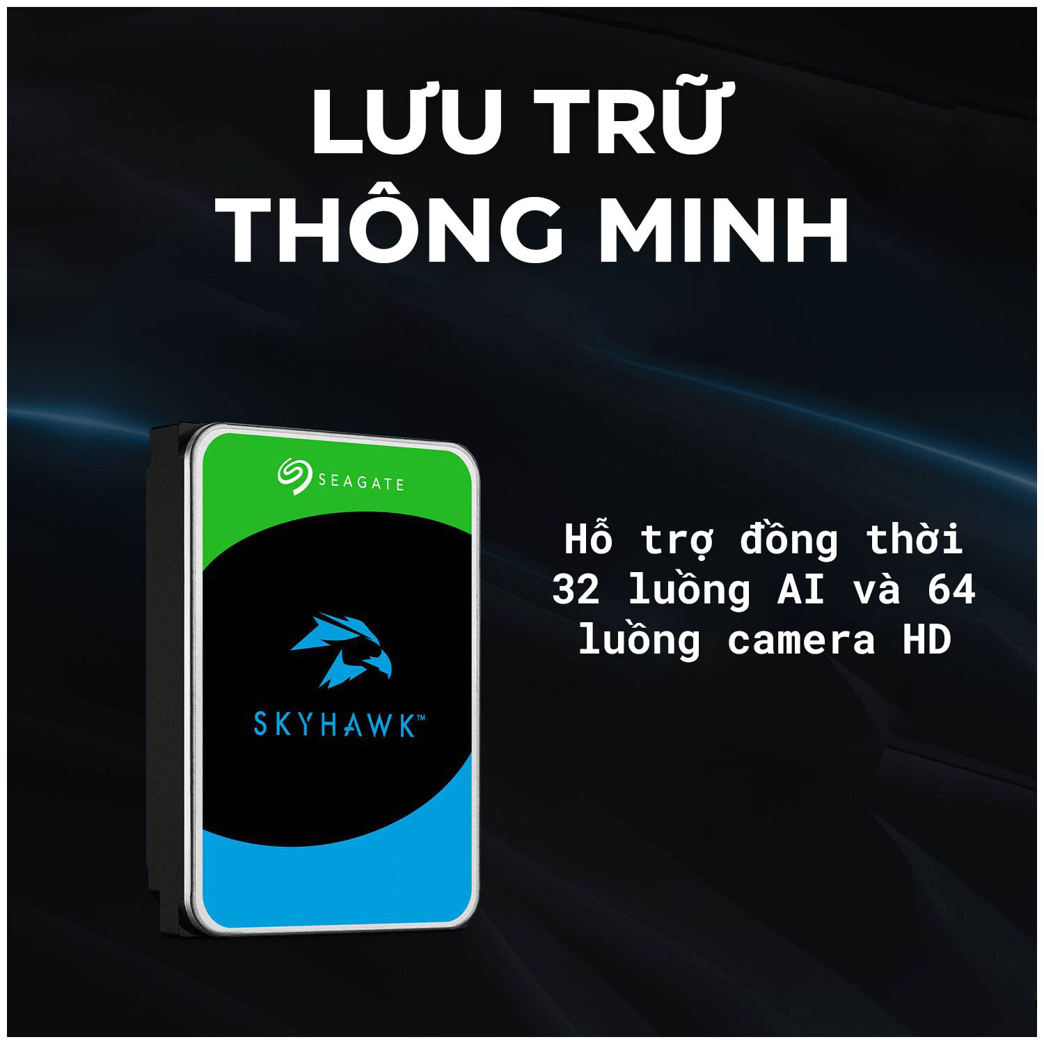 Ổ Cứng HDD Seagate SkyHawk AI