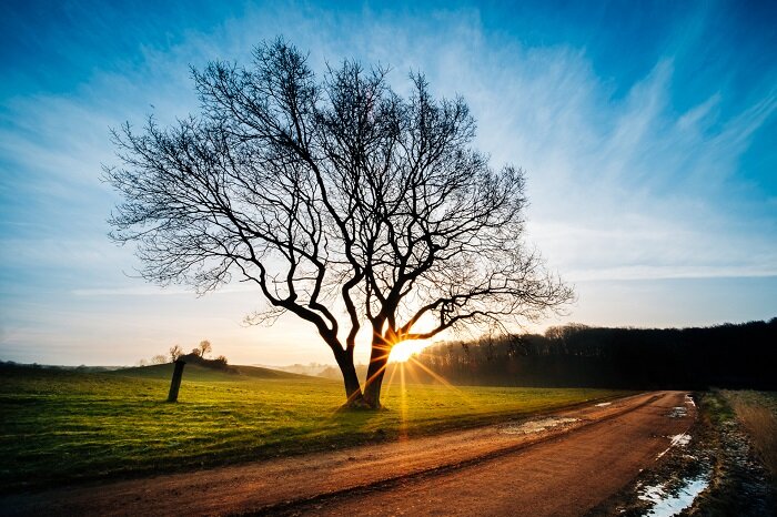 Máy Ảnh Fujifilm X-H1 Body   Grip