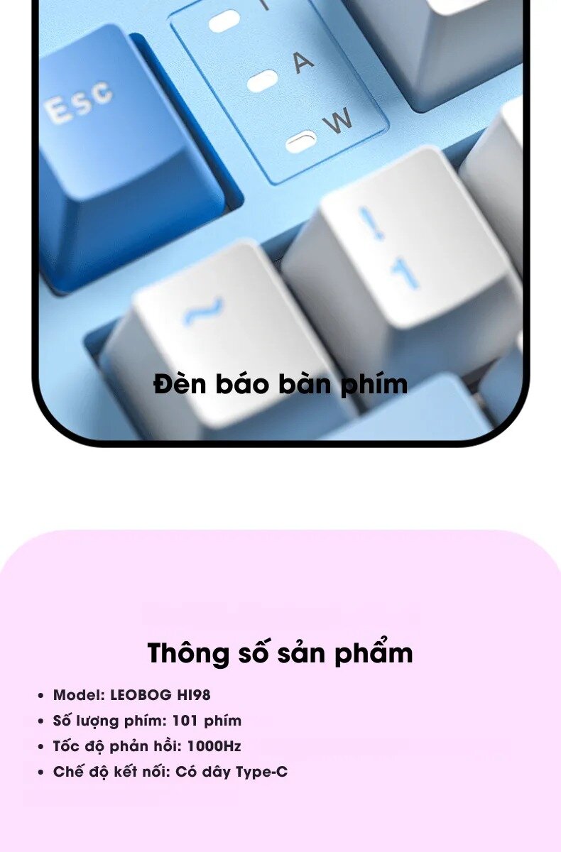 Bàn phím cơ LEOBOG Hi98 (Trắng / White dragon switch) 21