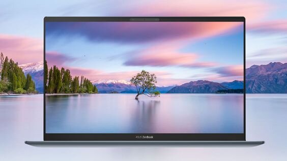 Asus Zenbook 14 UX425EA-KI839W (Ảnh 5)