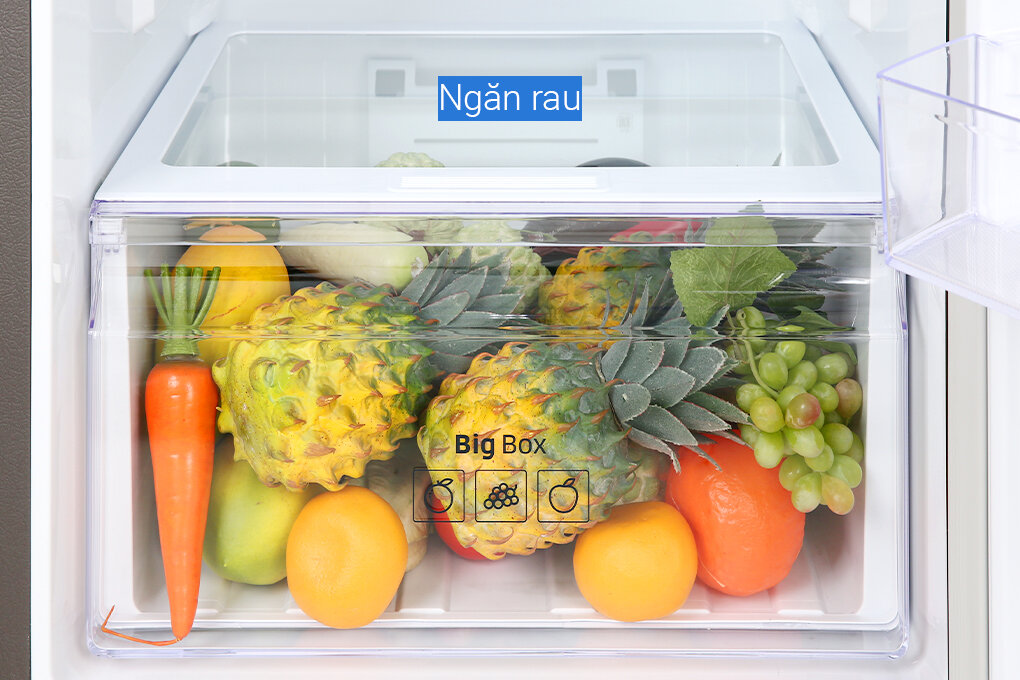 Tủ lạnh ngăn đá trên