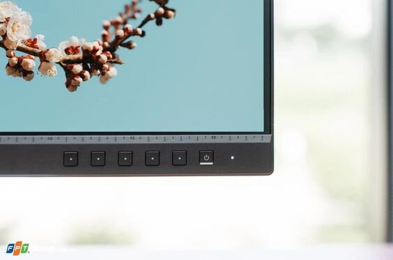 Màn hình Asus ProArt PA247CV-P (Ảnh 7)