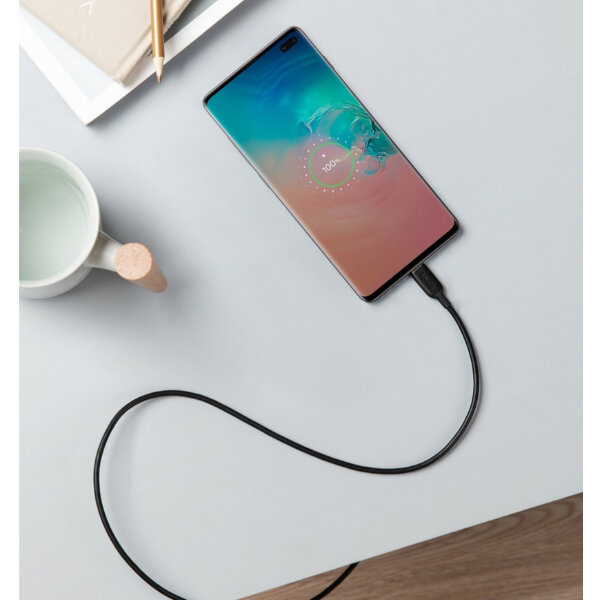 Cáp sạc ANKER PowerLineIII USB-C to USB-C 0.9m-A8852