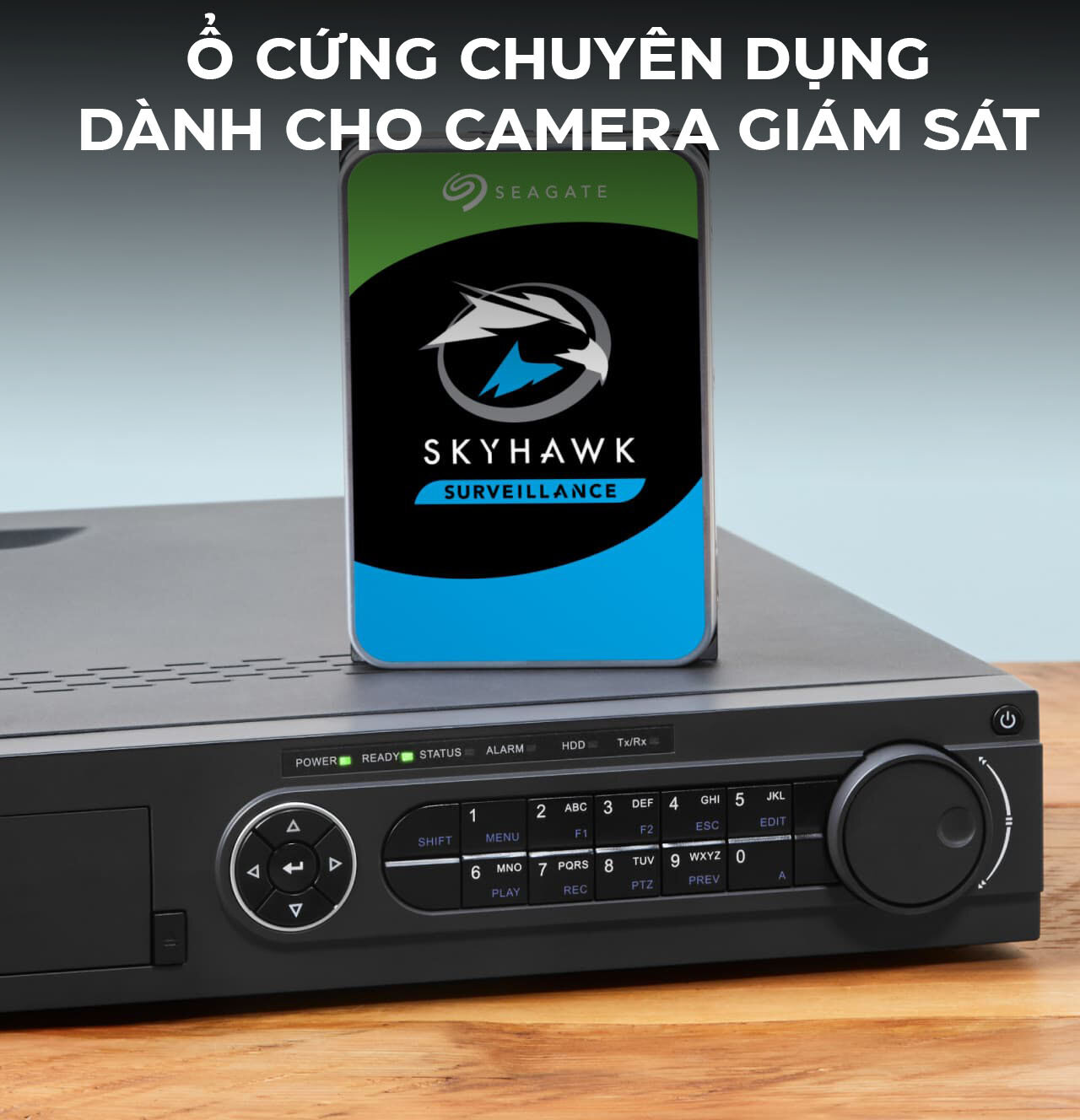 Ổ Cứng HDD Seagate SkyHawk AI