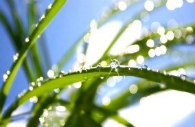 Quạt phun sương Kangaroo KG-203 Quạt phun sương Kangaroo KG-203