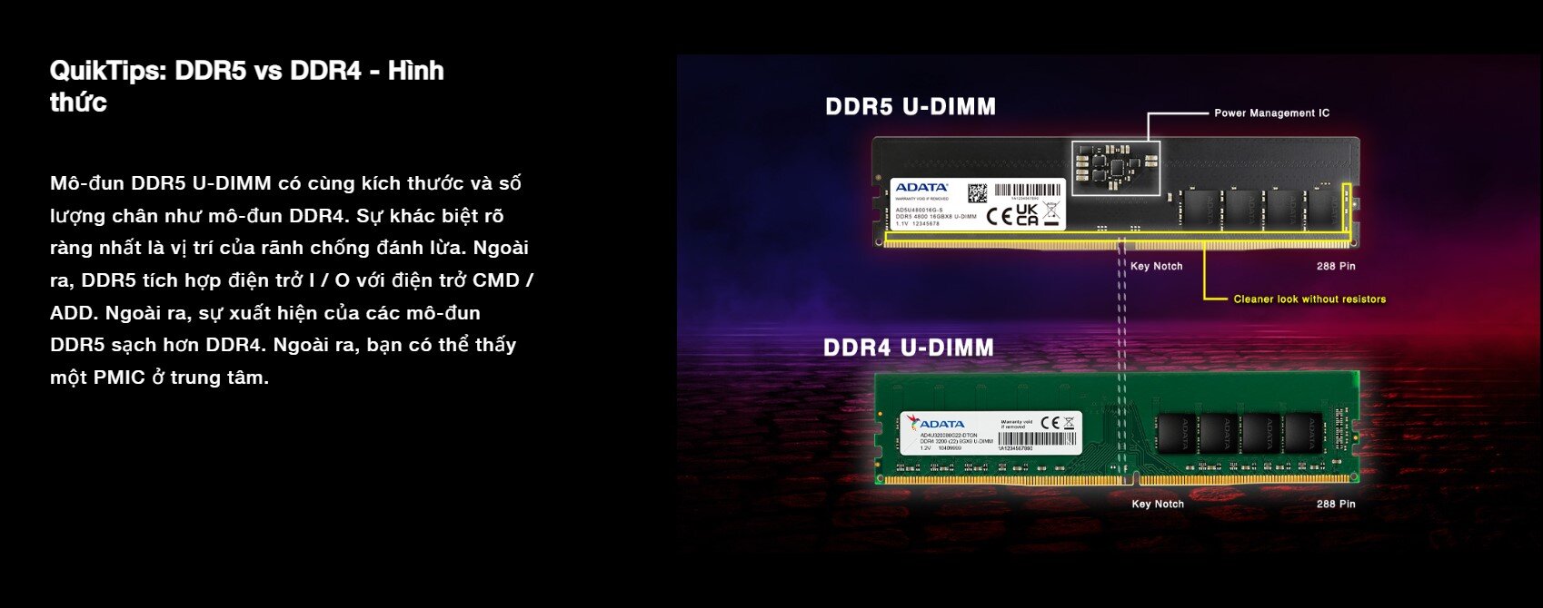 Ram Desktop Adata RGB
