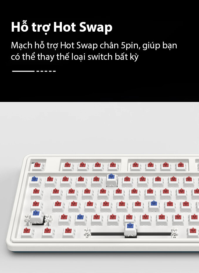 Bàn phím cơ không dây FL-Esports CMK87 SAM Yellow White 3 Mode Red sw (Kailh Box) (USBC/Bluetooth/RGB/Hotswap) 7