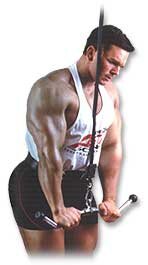 Ghế tạ đa năng AL-210RSK