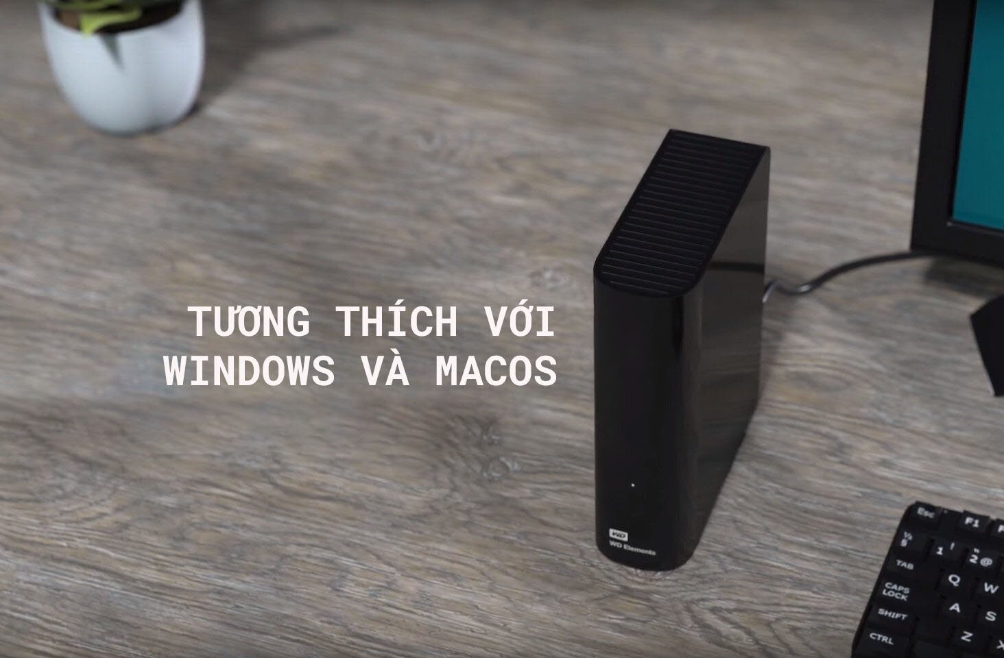 Ổ cứng gắn ngoài 3.5 inch WD Elements