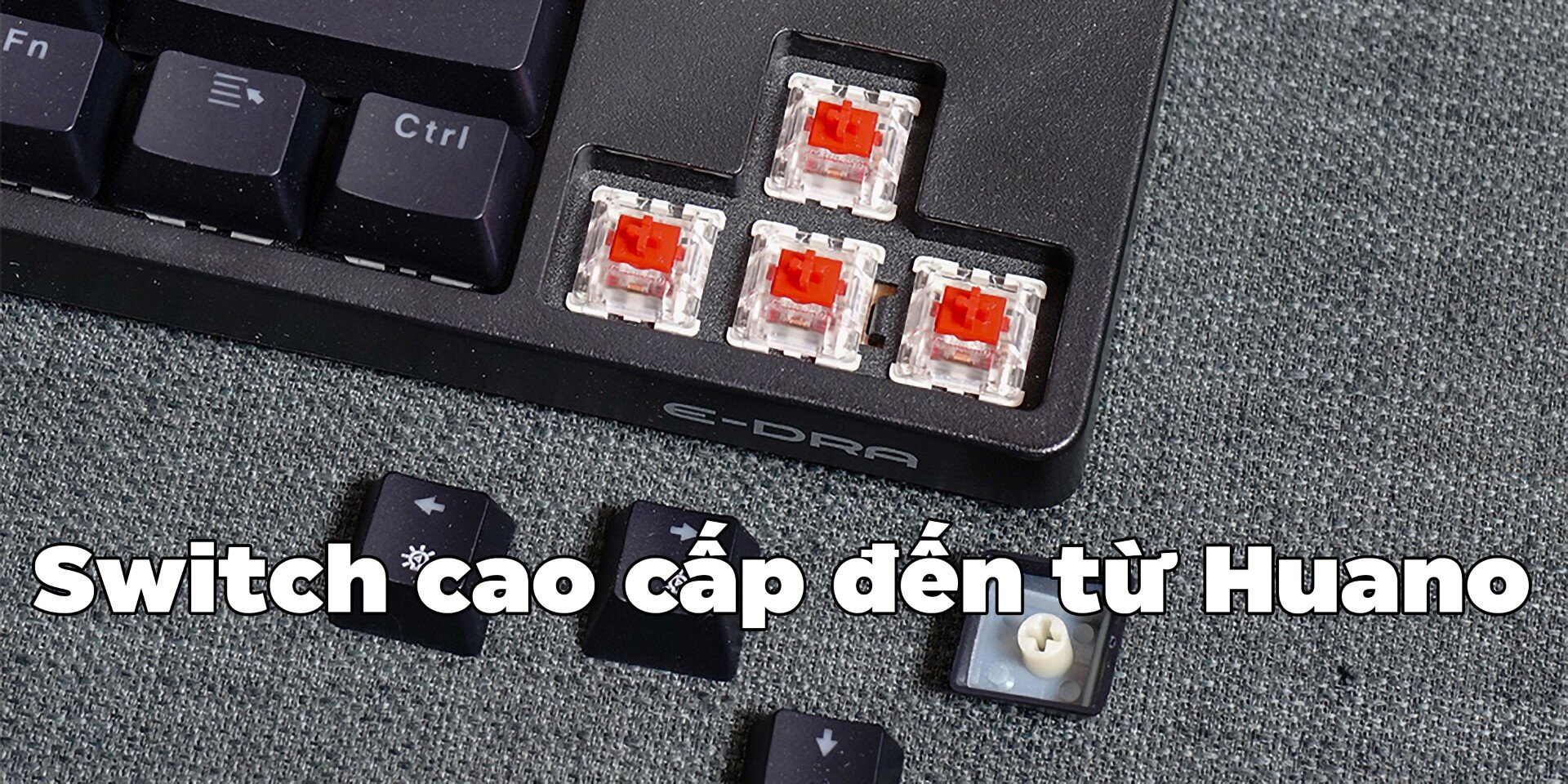 Bàn phím cơ Edra EK387L RGB
