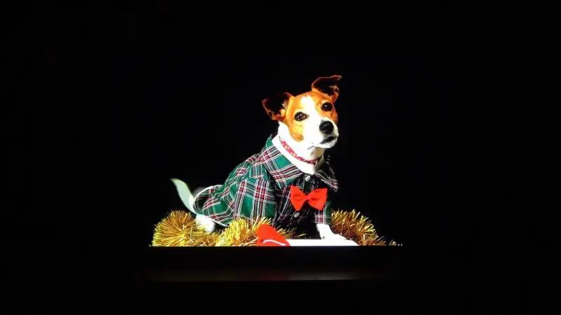 Tivi QLED TCL 4K 65 inch 65C655