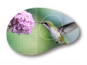 Máy chiếu gia đình BenQ W1110 -full HD1080p