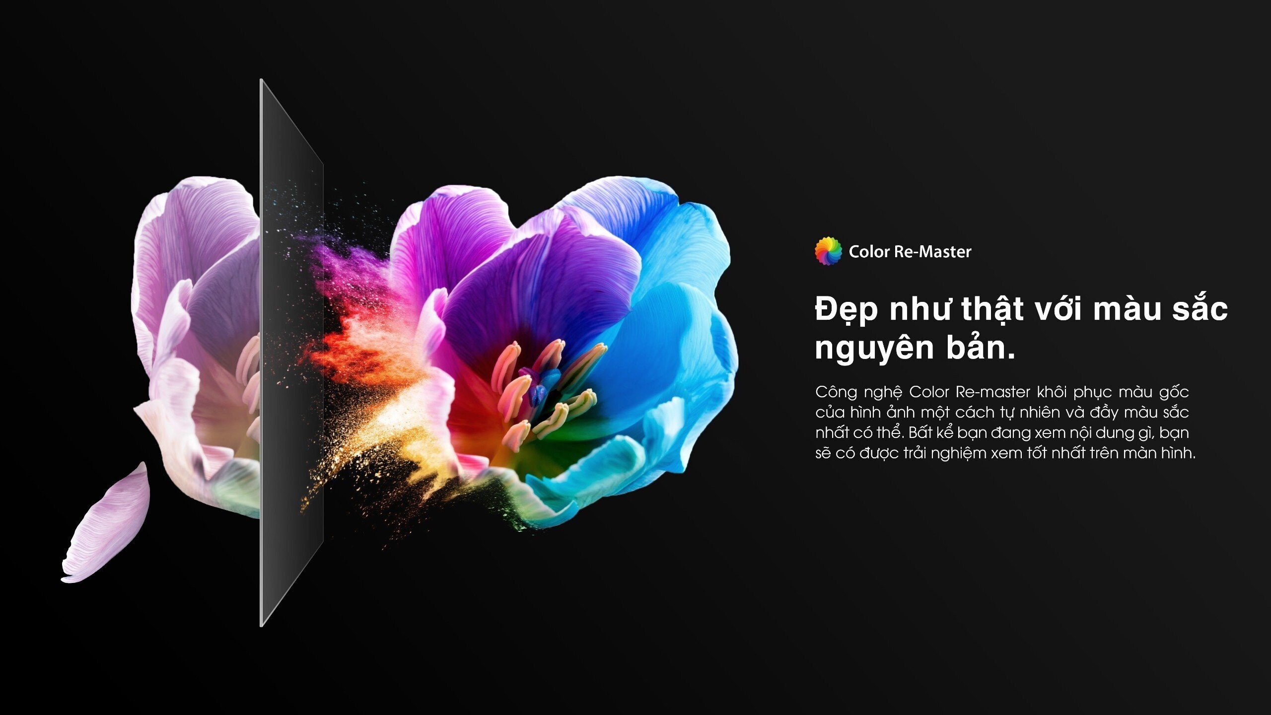 Công nghệ Color Re-Master giúp khôi phục màu ảnh Tivi Toshiba 55M450NP