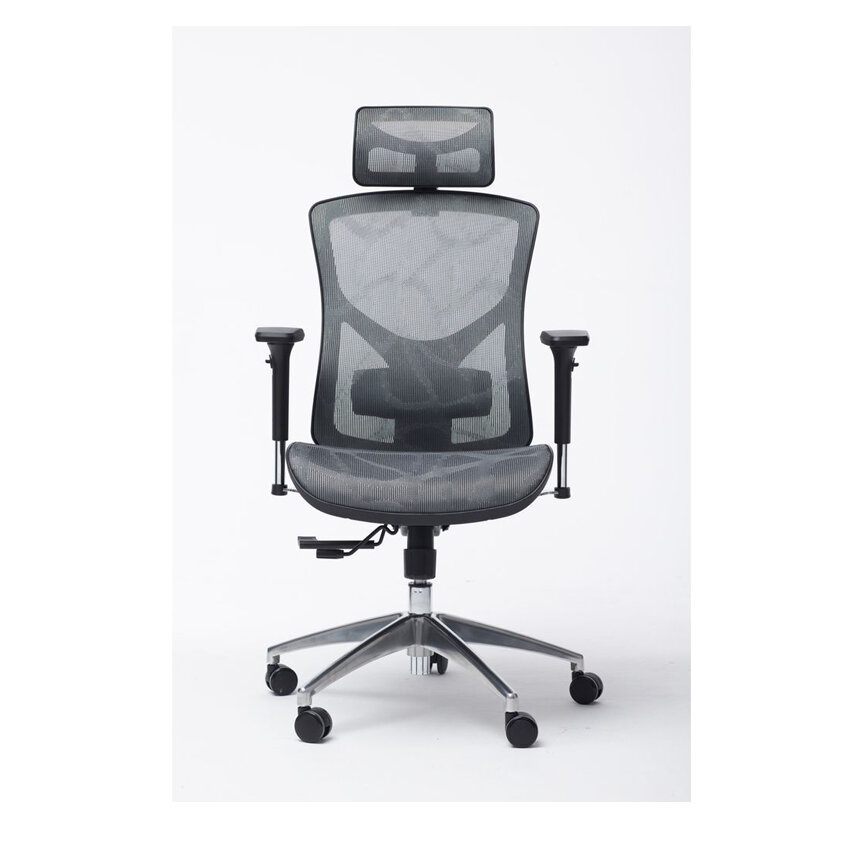 Ghế Công Thái Học Manson Vera Lưới Vân Rồng Đen ảnh 2