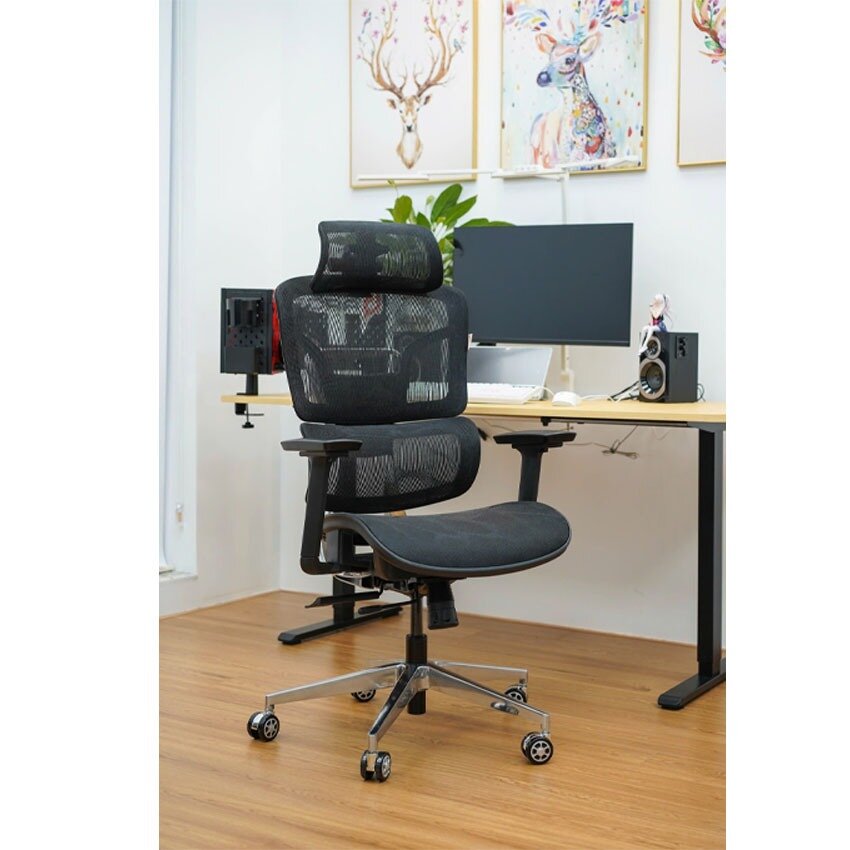 Ghế công thái học EDRA EEC223 3