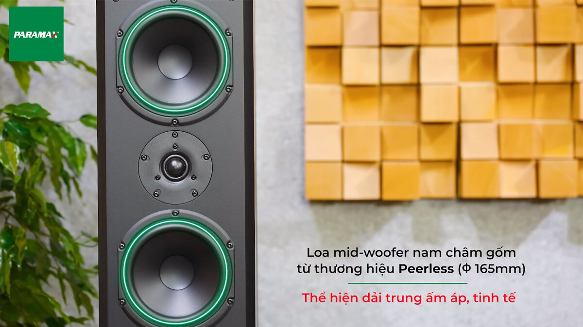 Hai củ loa mid-woofer có đường kính 6.5 inch