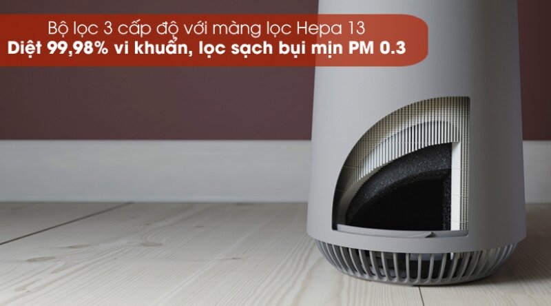 Máy lọc không khí inverter Electrolux FA31-202GY