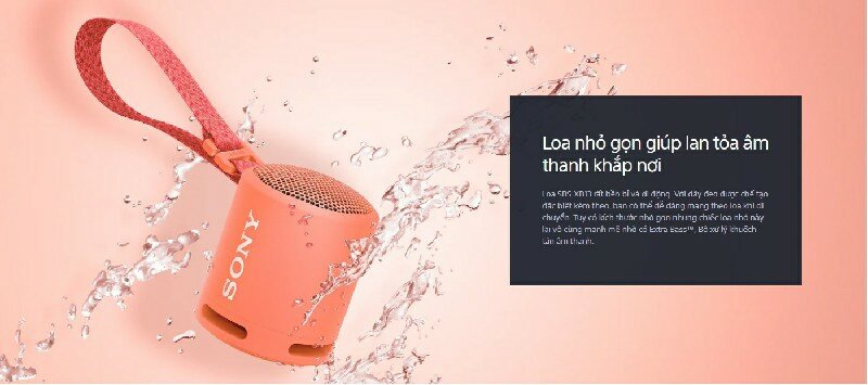 Loa Bluetooth Sony SRS-XB13