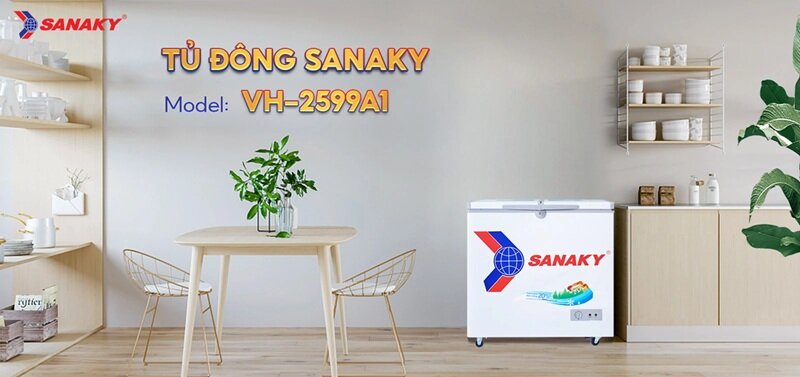 Tủ đông Sanaky 1 ngăn 250 lít VH-2599A1