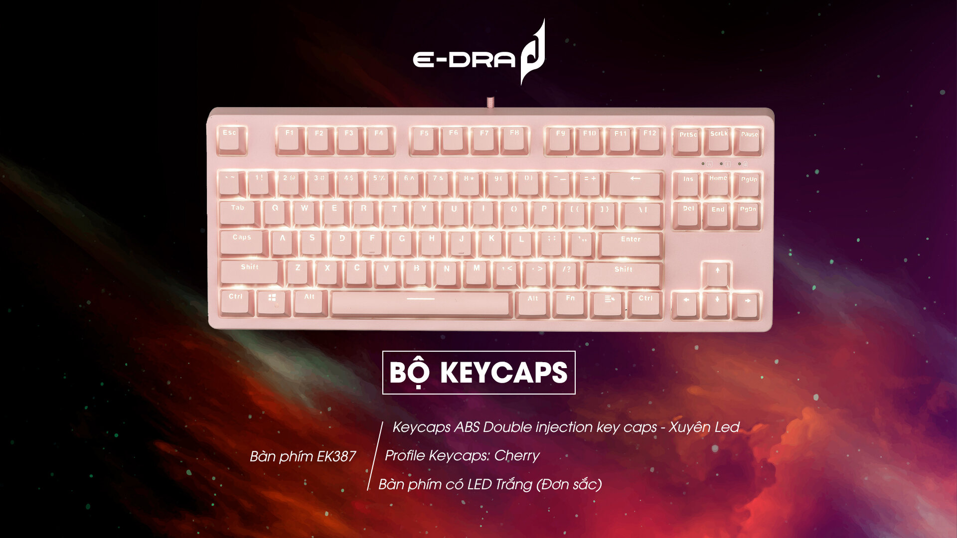 Bàn phím cơ Edra EK387 Pink V2 Blue sw (Edra) (USBC/White Led) 4