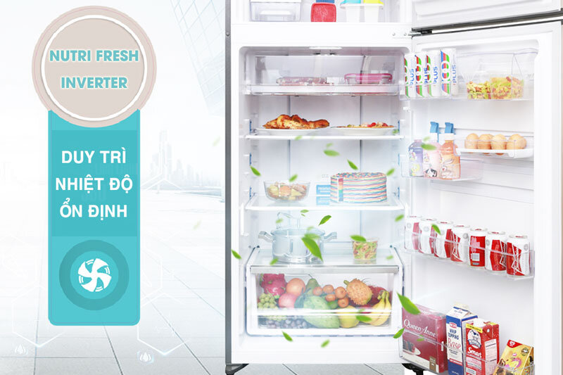 Tủ lạnh Electrolux 426 lít ETB4602GA Tủ lạnh Electrolux 426 lít ETB4602GA