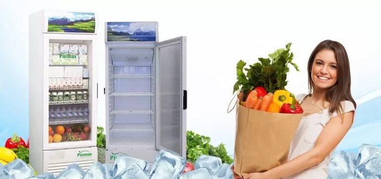 Tủ mát Pinimax PNM-359KL 350 lít 