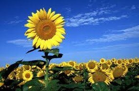 Tivi 3D LED LG 42LB620T 42 inch Tivi 3D LED LG 42LB620T 42 inch