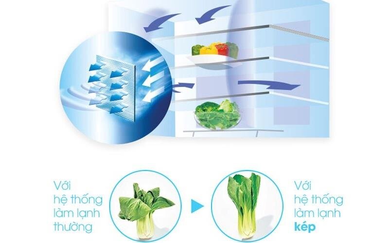 Tủ lạnh 3 cánh SBS HITACHI R-FM800PGV2 (GS) - 600 Lít