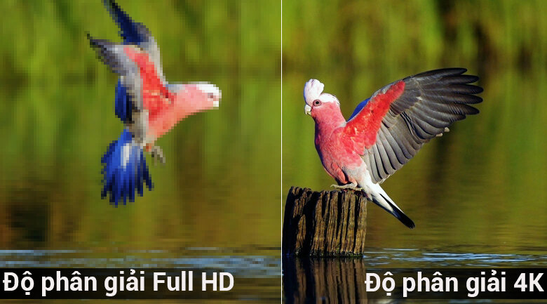 Sony 4K HDR 49 -inch 49x7500F 스마트 TV