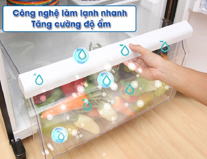 Tủ lạnh Toshiba 505 lít GR-HG55VDZ XK Tủ lạnh Toshiba 505 lít GR-HG55VDZ XK