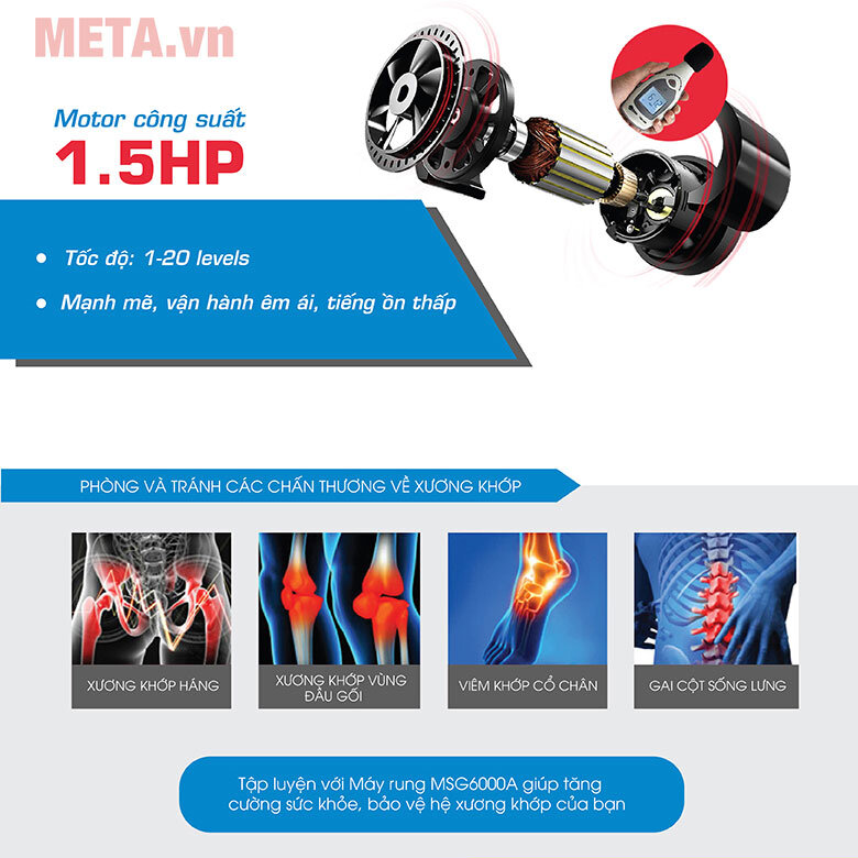 Máy đánh bụng MSG-6000A (MS6000A)