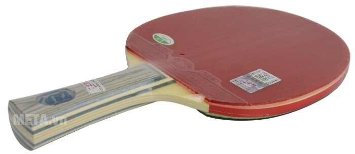 Vợt bóng bàn 729-1060 New