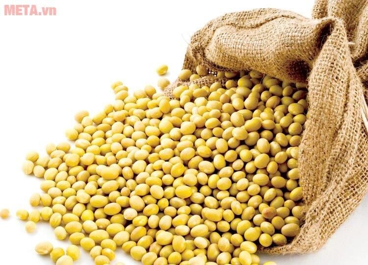 Máy xay sinh tố đa năng Sunhouse SHD5321