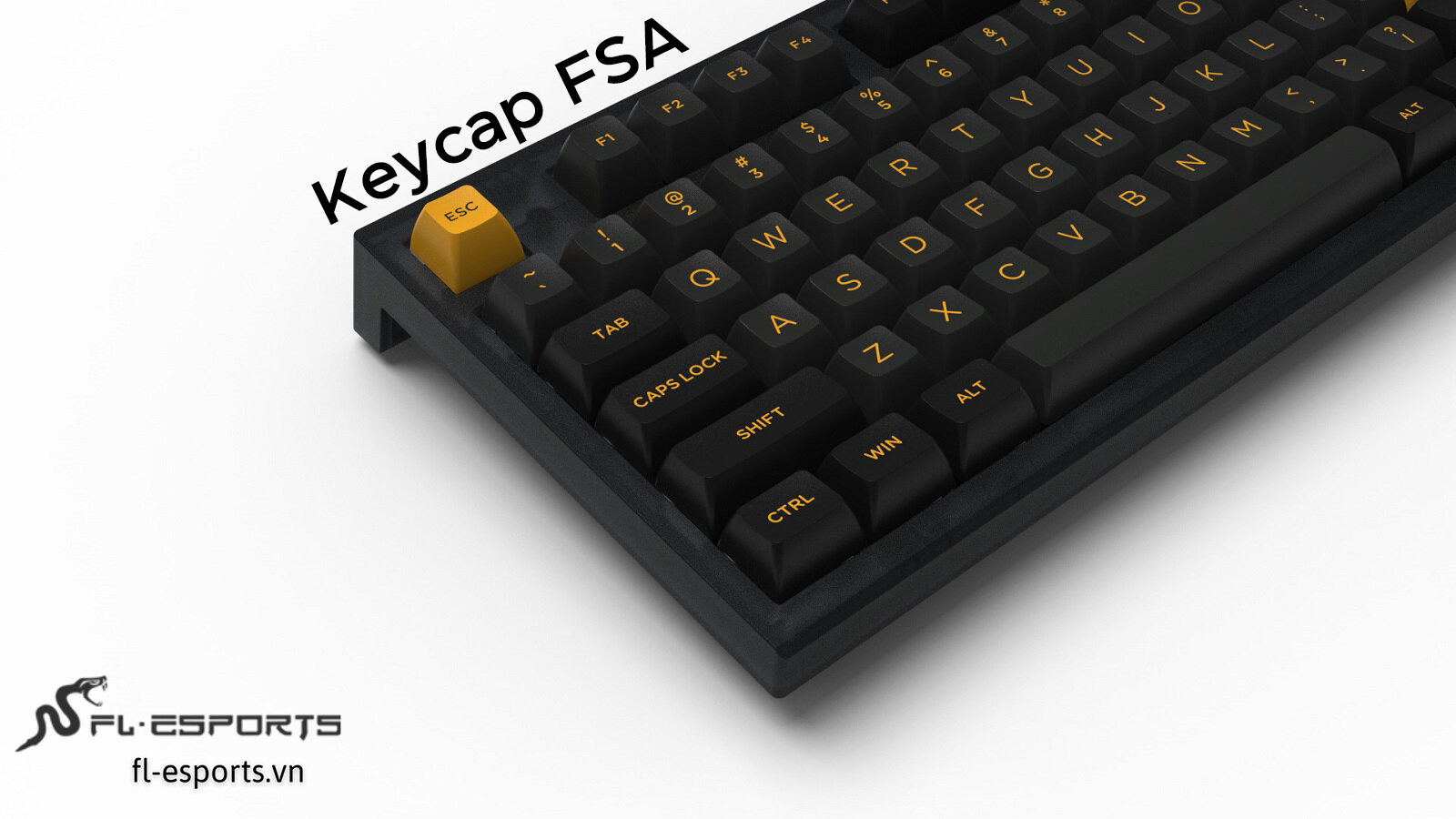 Bàn phím cơ Không dây FL-Esport FL750 SAM Polar Night RGB