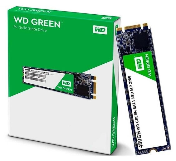 SSD WD Green 480GB M.2 2280 SATA 3 (Ảnh 2)