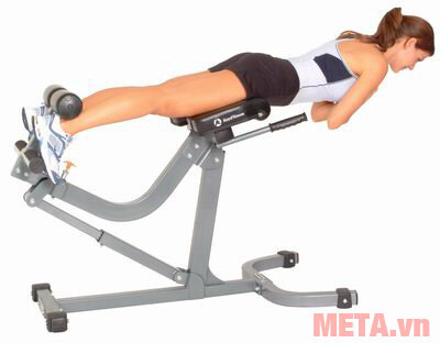 Ghế tập lưng Impulse IFAH