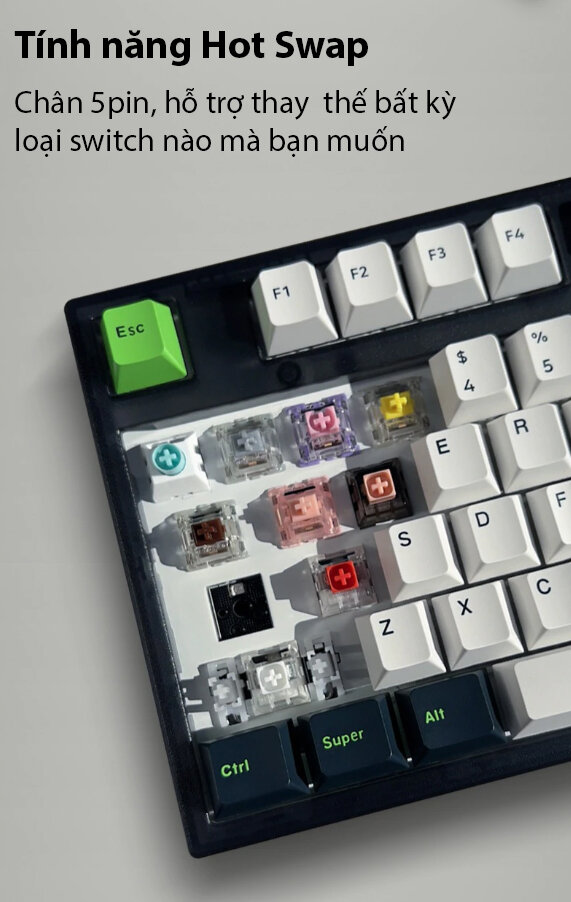 Bàn phím cơ FL-Esports GP87 CP White Green White sw (Gateron Pro) (USBC/RGB/Hotswap) 5