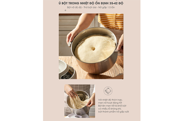 Máy nhào bột tự động 7L Bear DM-B70V1 Máy nhào bột tự động 7L Bear DM-B70V1