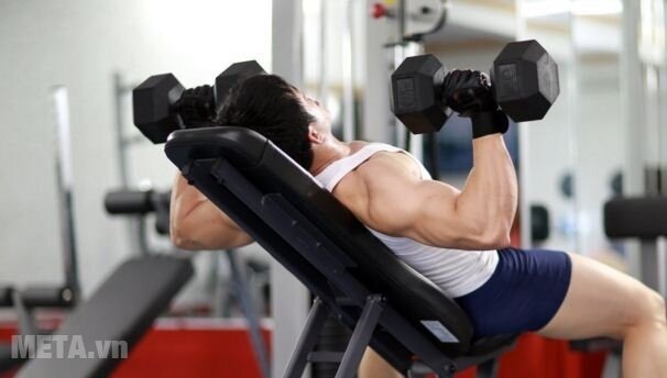 Ghế tập điều chỉnh Impulse IT7011