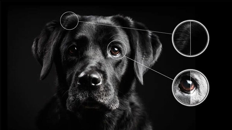 Google tivi QLED 4K 50 inch 50C645