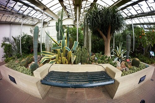 Ống Kính Samyang 8mm f/2.8 UMC Fisheye for Sony Nex Ống Kính Samyang 8mm f/2.8 UMC Fisheye for Sony Nex