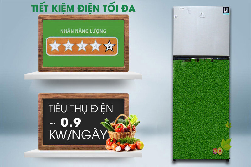 Tủ lạnh Electrolux 318 lít ETB3200MG Tủ lạnh Electrolux 318 lít ETB3200MG