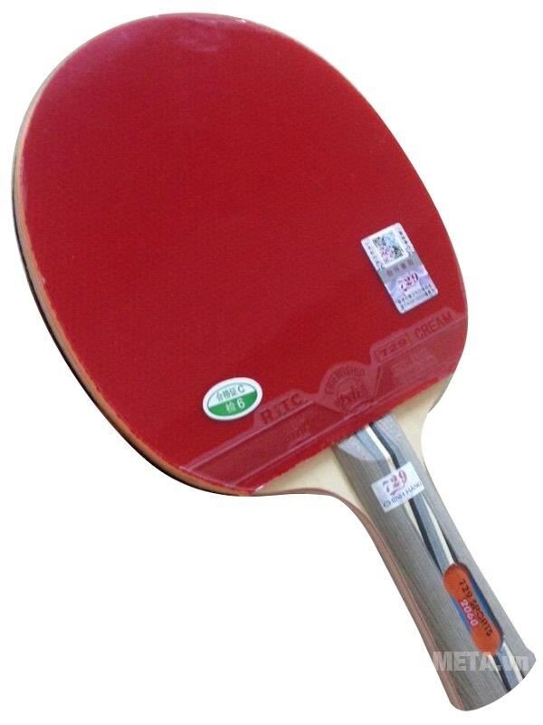 Vợt bóng bàn 729-2060